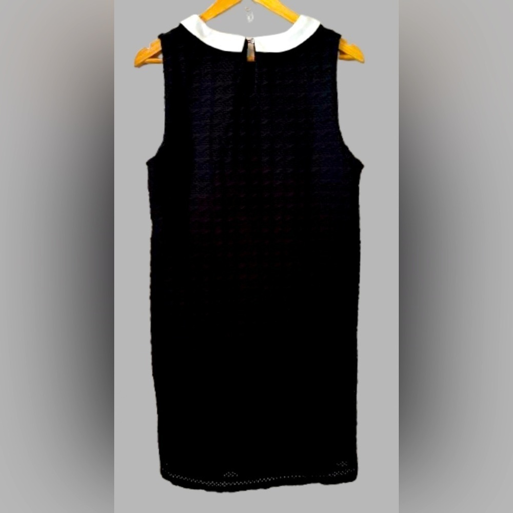 Sleeveless Black Mini Dress with White Peter Pan Collar - Picture 2 of 7